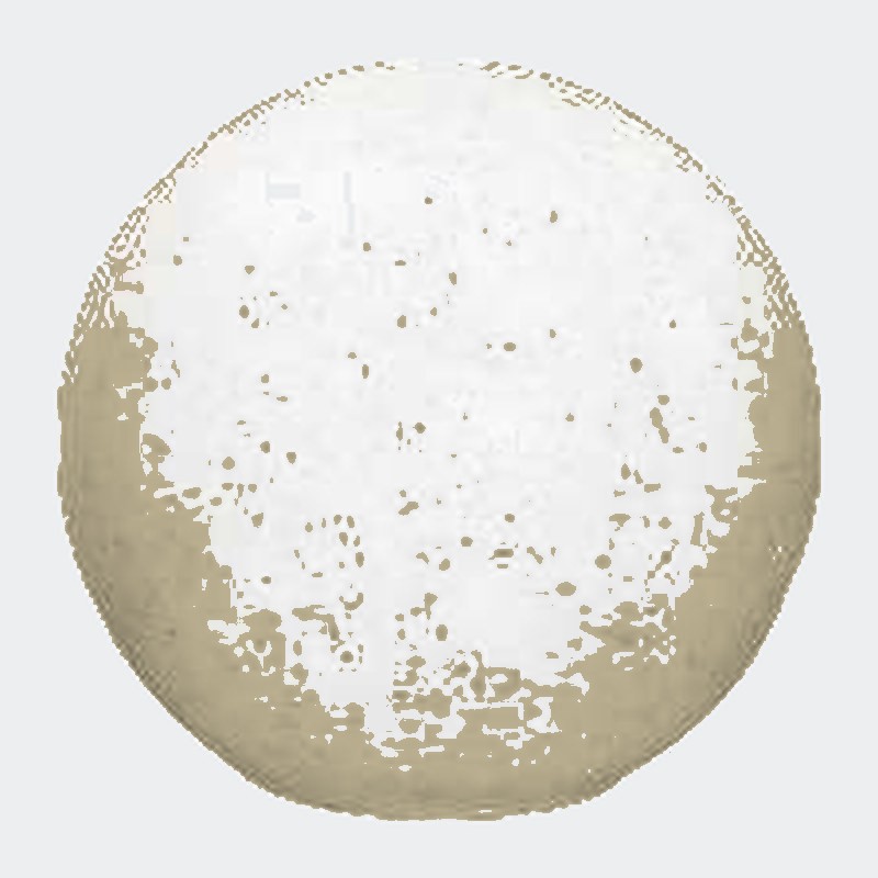 LED ball transparent, image 3 of 8