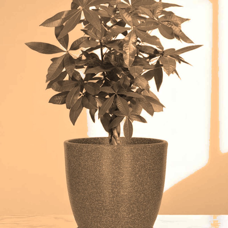 Houston planter, image 2 of 8
