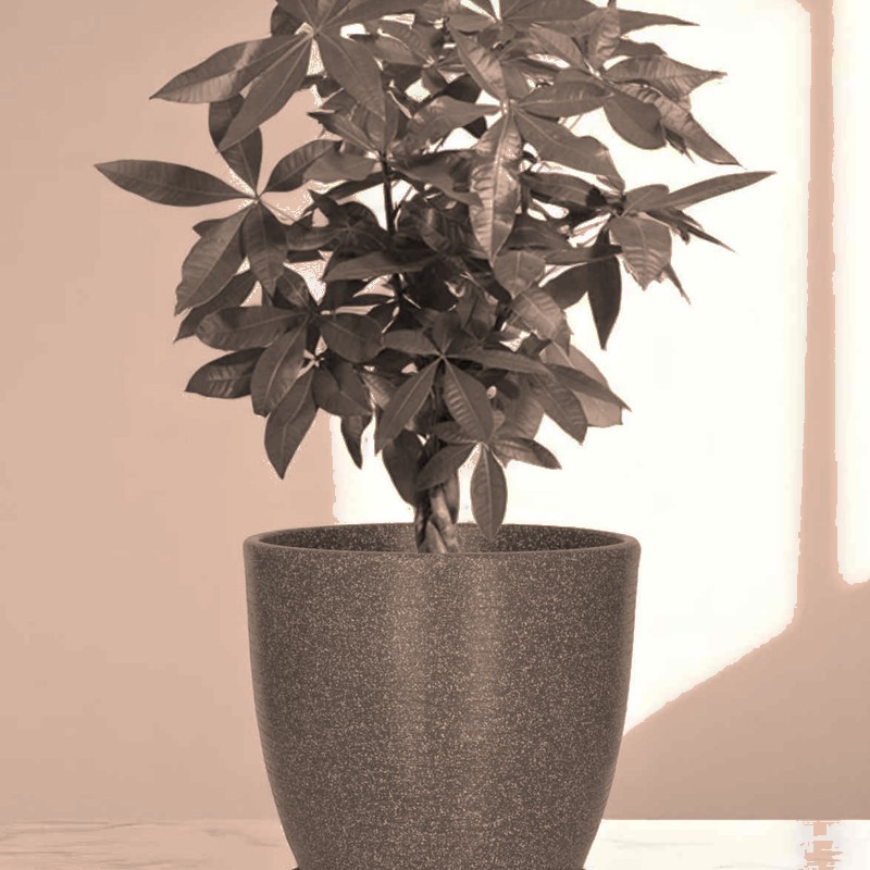 Houston planter, image 8 of 8