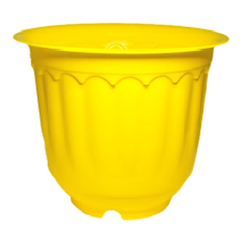 Cosmos pot