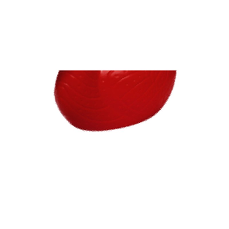 Duck pot (10"), image 4 of 5