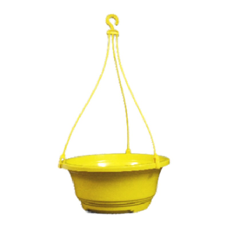 Ivy hanging pot (10")