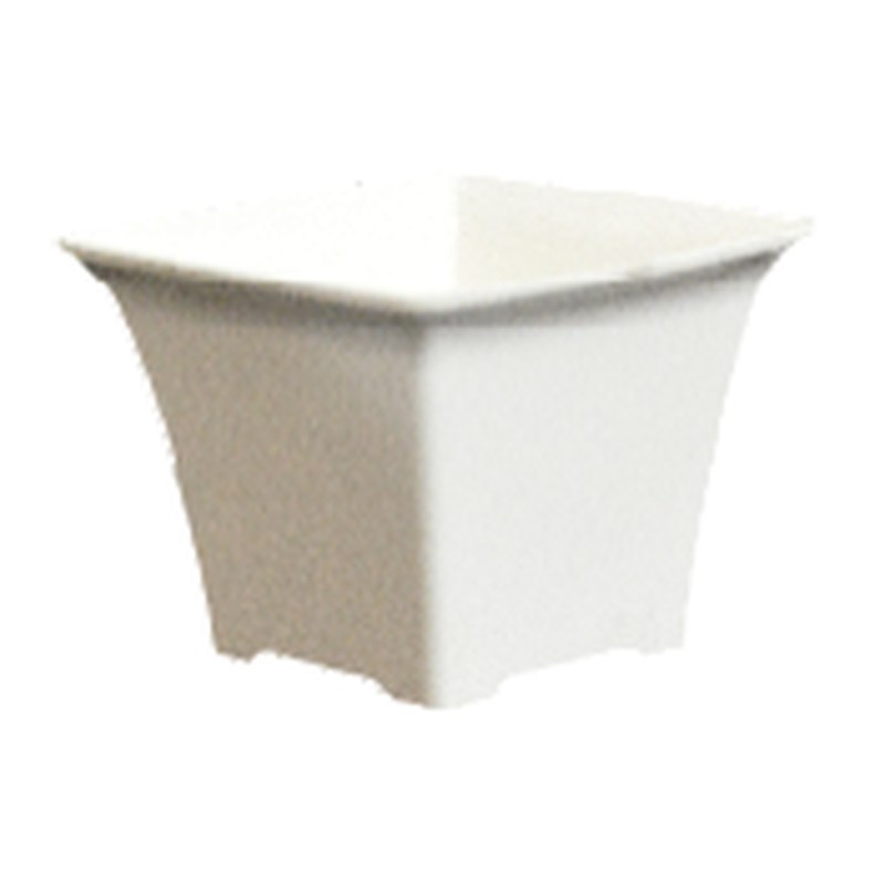 Pansy square pot (3" ( 76 mm ))