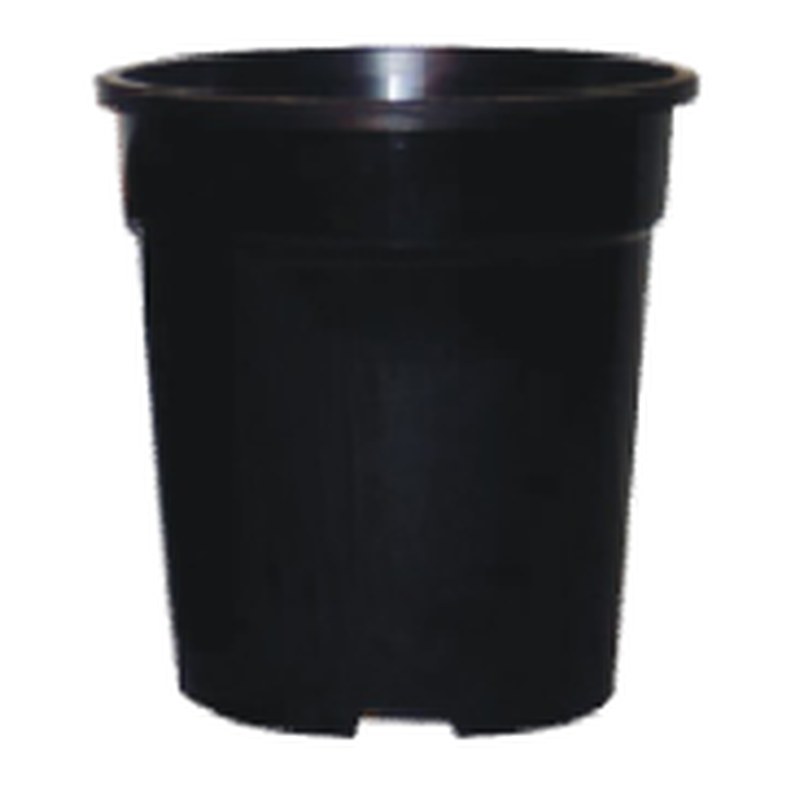 Royalle nursery pot (8")