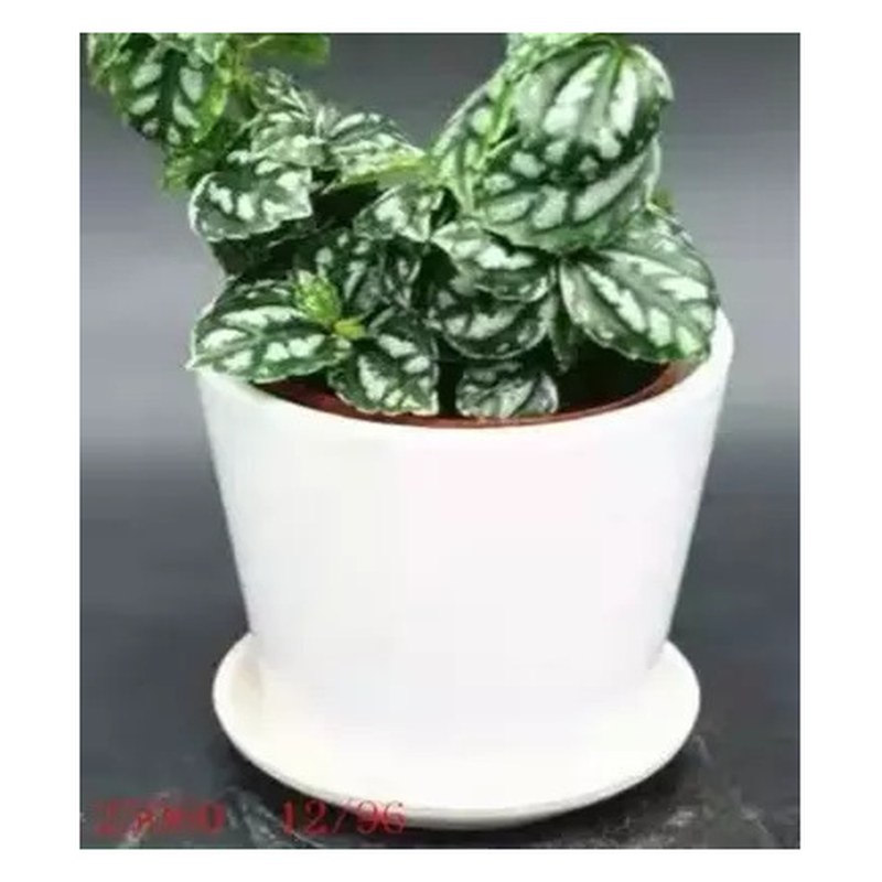 Classic ceramic pot with saucer, white