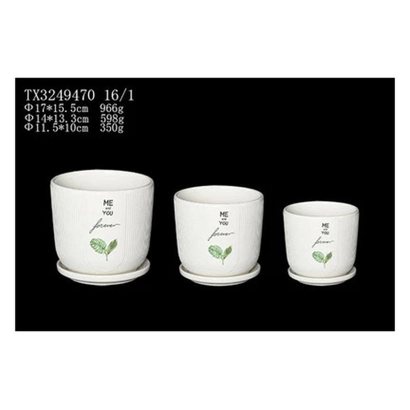 Forever leaf ceramic pot set of 3