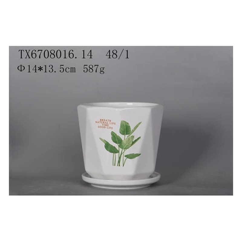 Green leaf print ceramic pot with saucer