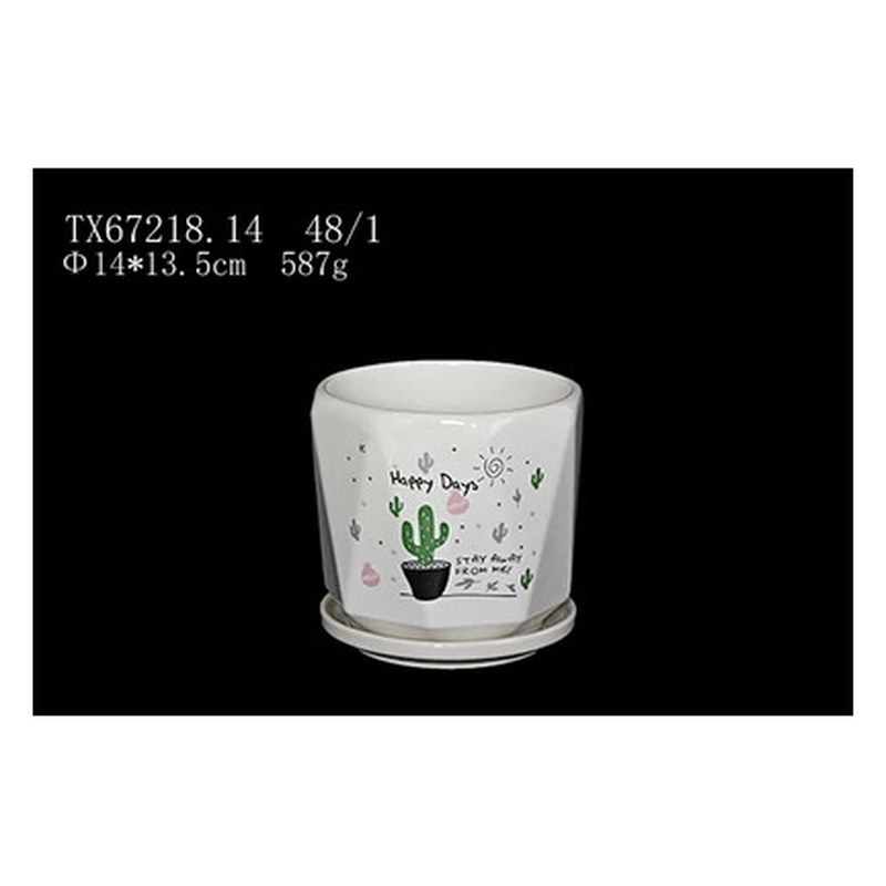Cactus print ceramic pot with saucer
