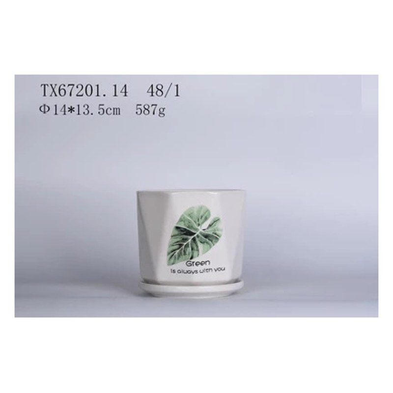 Leaf print ceramic pot with saucer