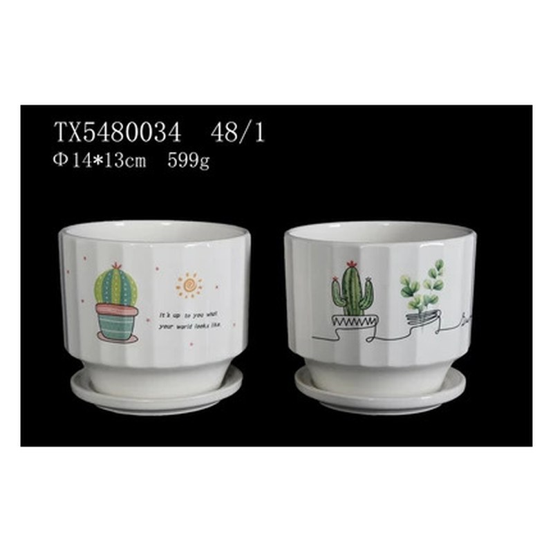 Cactus and sun print ceramic pot with saucer