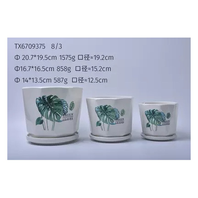 Monstera leaf ceramic pot set of 3