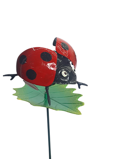Ladybird on leaf garden stake