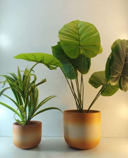 Terracotta planter set 3083 A