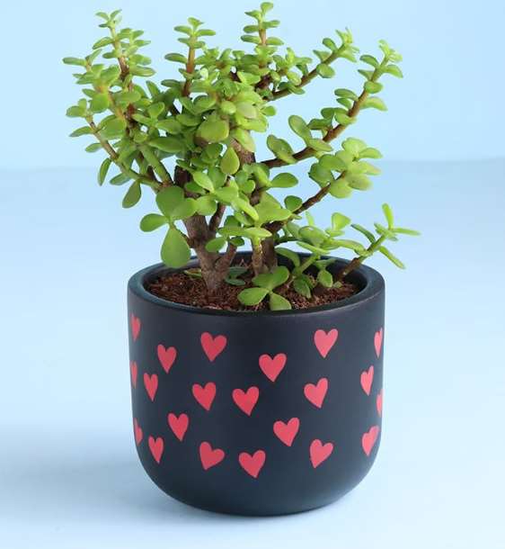 Terracotta planter 3075