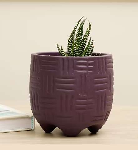 Terracotta planter 3076 A