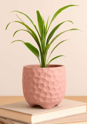 Terracotta planter 3078 C