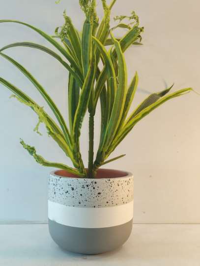 Terracotta planter 3081 B