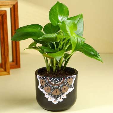Terracotta planter 3042