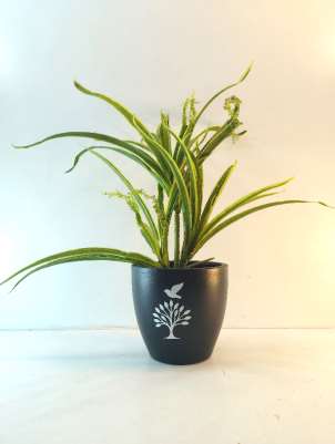 Terracotta planter 3044