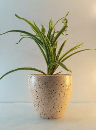 Terracotta planter 3049