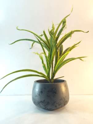 Terracotta planter 3030