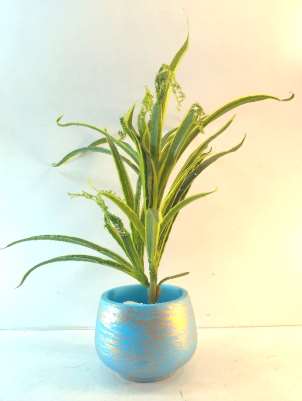 Terracotta planter 3034