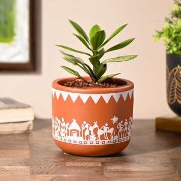 Terracotta planter 3055