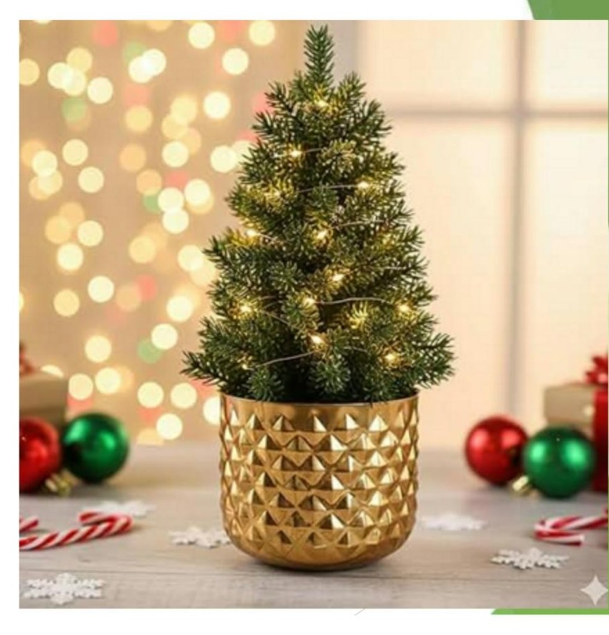 Metal iron planter in plating 1724 brass