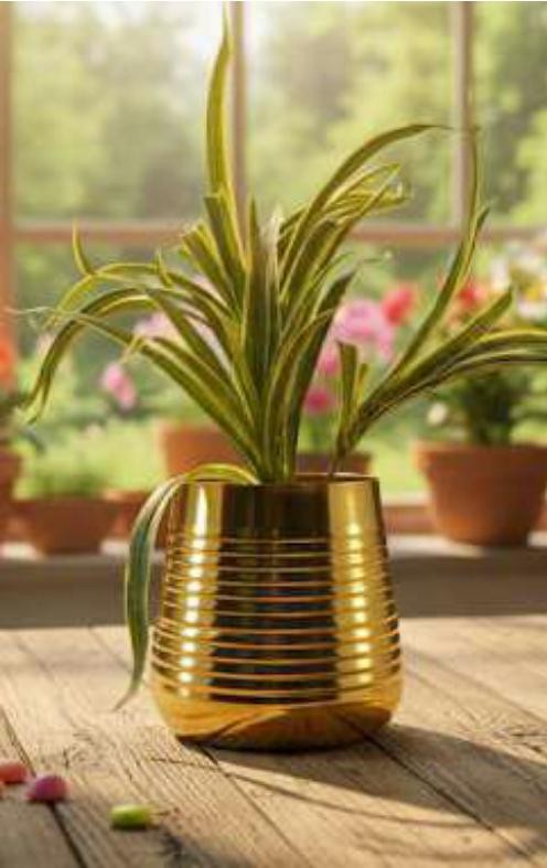 Metal table pot in plating brass copper 1725