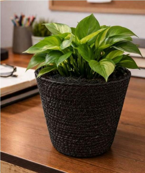 Small jute pot 1742CD