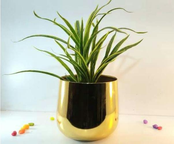 Iron pot with plating finish brass 1509 copper, image 2 of 2