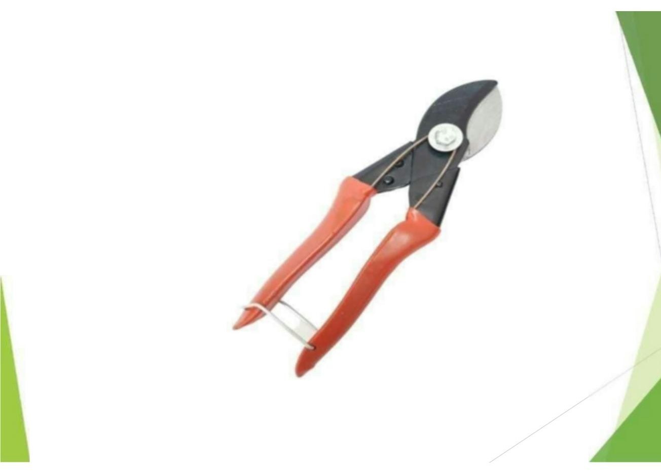Pruning secateur garden tool 1280