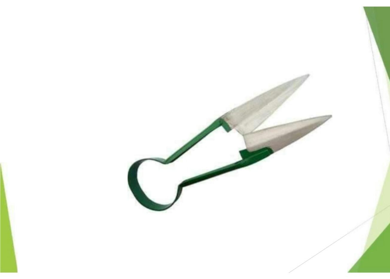 Pruning secateur garden tool 1282
