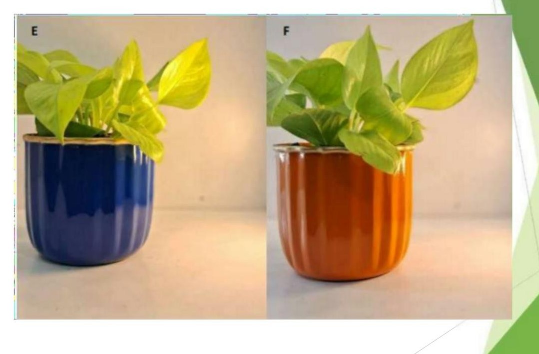 Metal planter 1325C