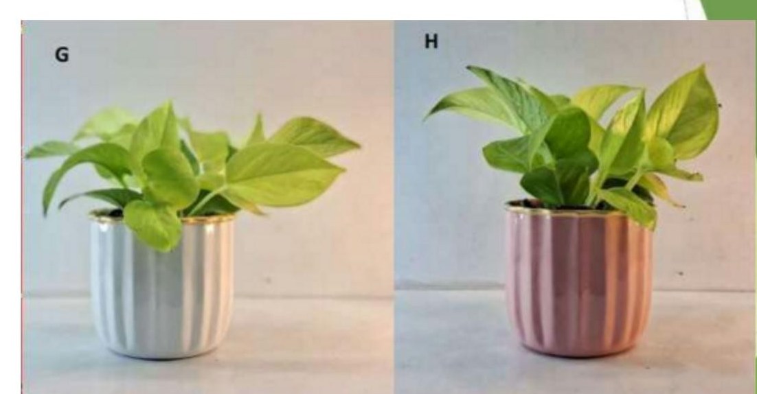 Metal planter 1325C, image 2 of 2