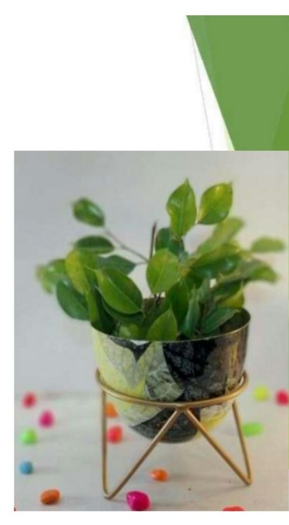 Egg meena pot with stand 1314IJ