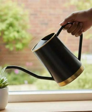 Metal watering cane 1022E