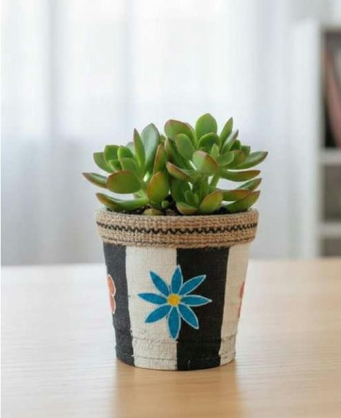 Rubber planter 1229BH