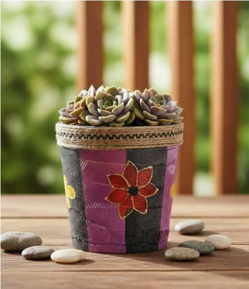 Rubber planter 1229CD