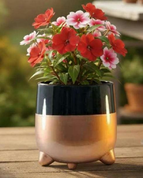 Iron potwithantique finish 1509D
