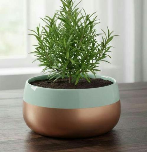 Iron handi pot 1333CD