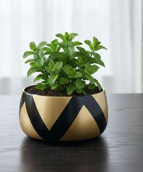 Iron handi pot 1333EF, image 2 of 2