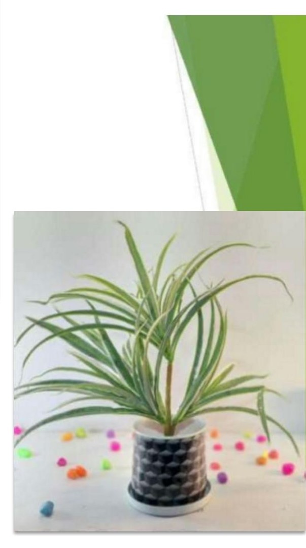 Printed pot with tray 1265C