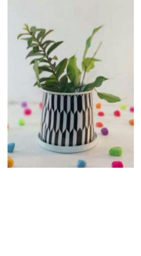 Printed pot with tray 1265F