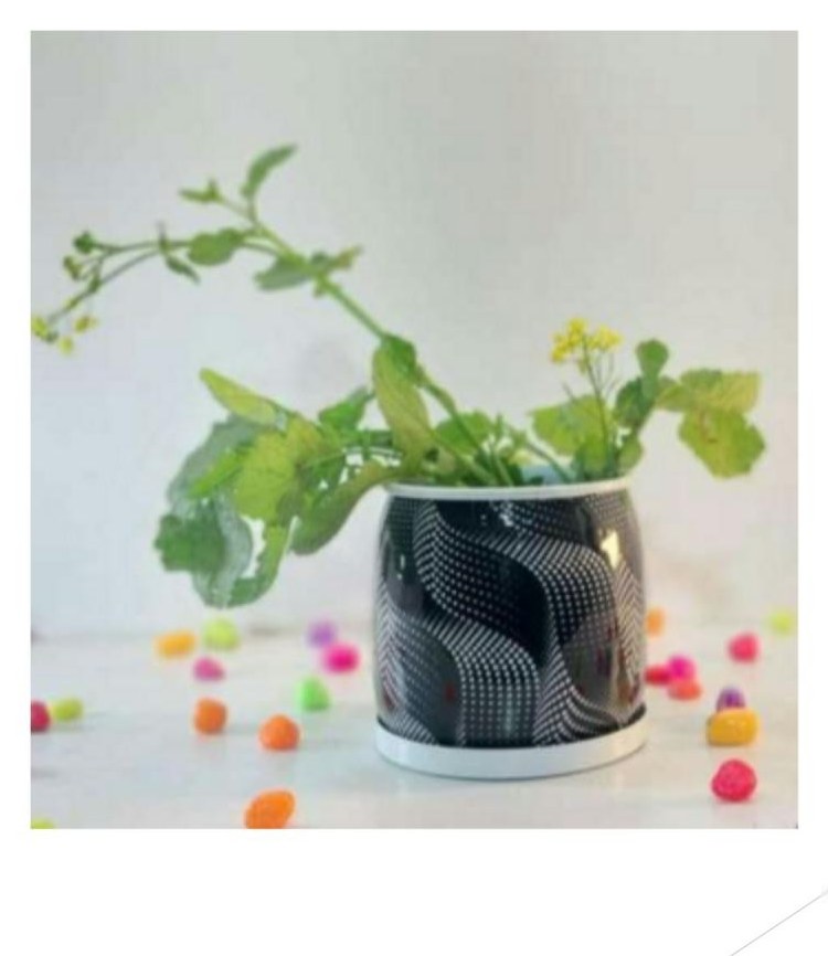 Printed pot with tray 1266F C CD