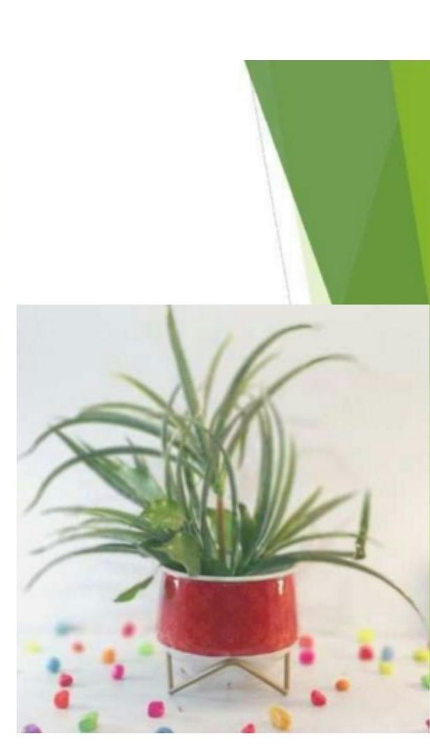 Metal pots with stand 1322A