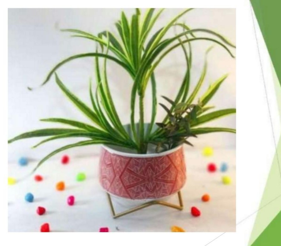 Metal pots with stand 1322I