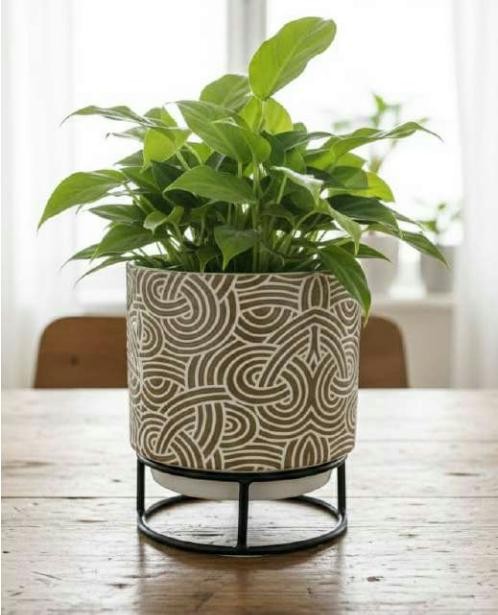 Iron metal pot with stand 1214E, image 2 of 2
