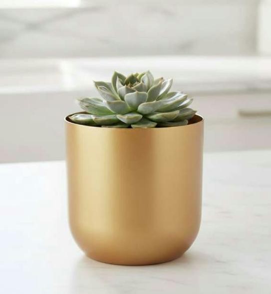 Metal pot with gold finish gold 1202