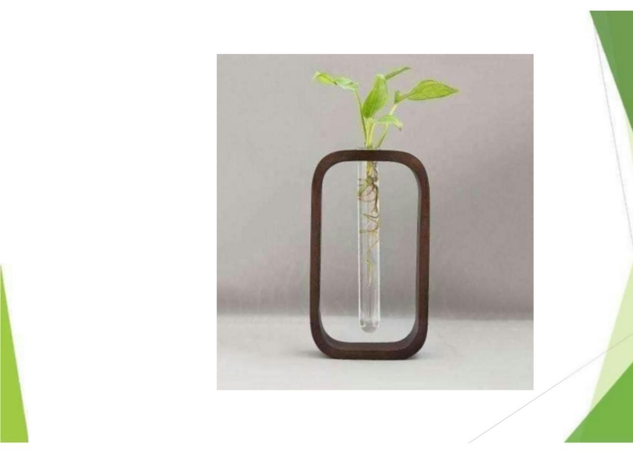Planter tubes in wooden holder 1010